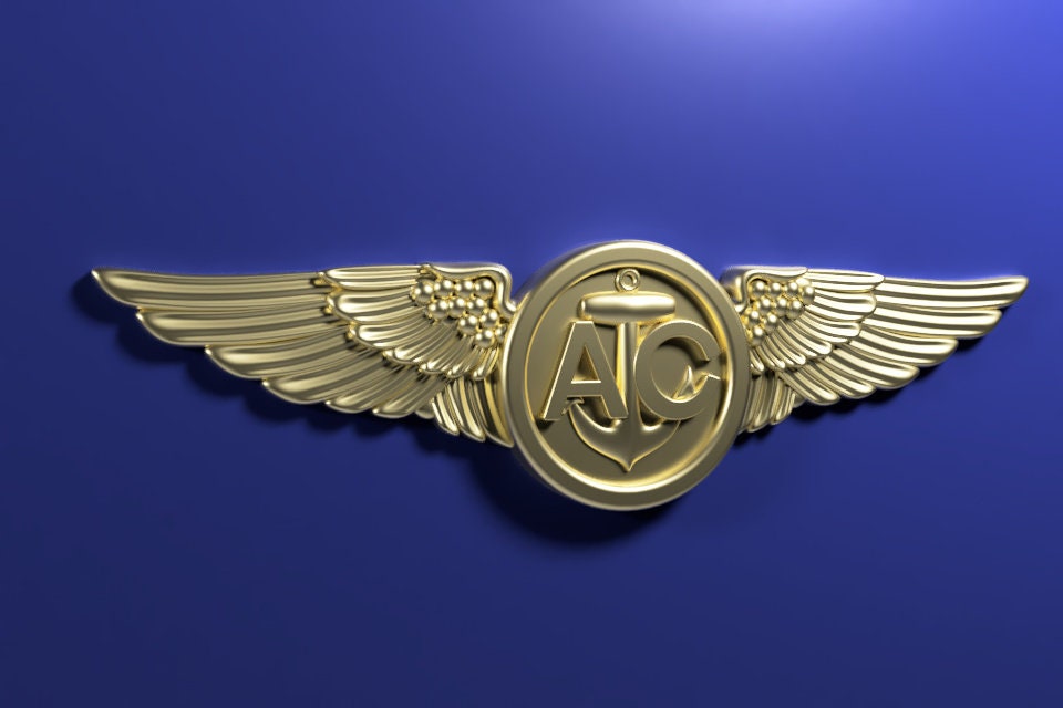 Navy Air Crew wings 3D stl file for CNC router