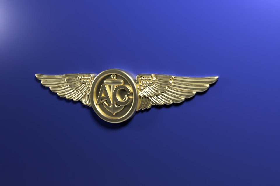 Navy Air Crew wings 3D stl file for CNC router